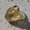 Bague brute en citrine jaune pâle naturelle enlacée de fil, finition ton or – vue 6